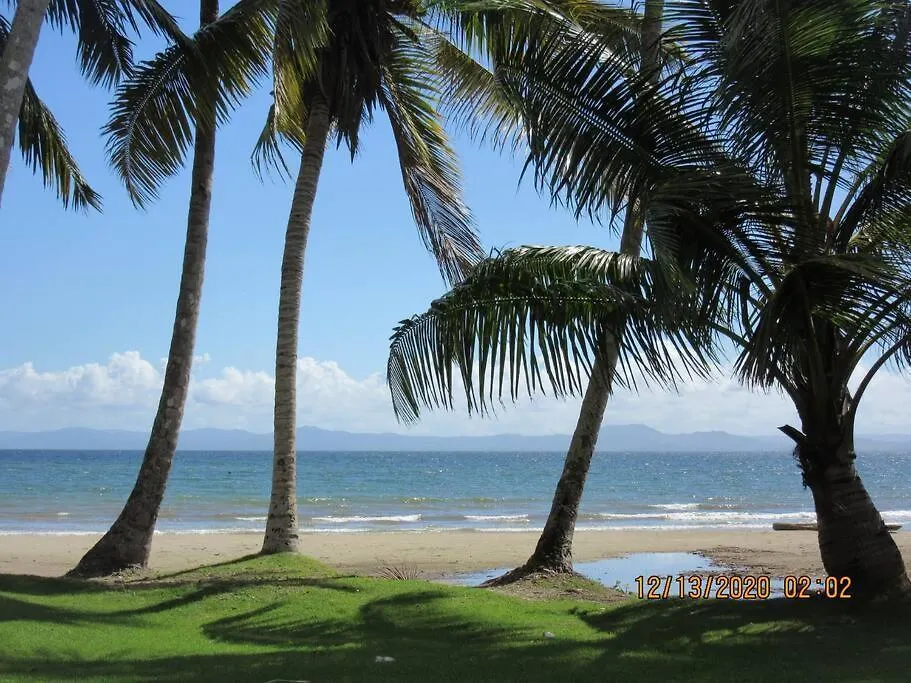 Pelicano Tropical Paraiso Samana
